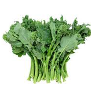 Grelos de couve  / Greens