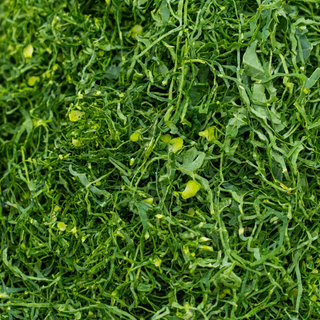 Caldo Verde / Green broth