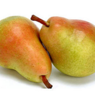 Pêra moretini / Pear