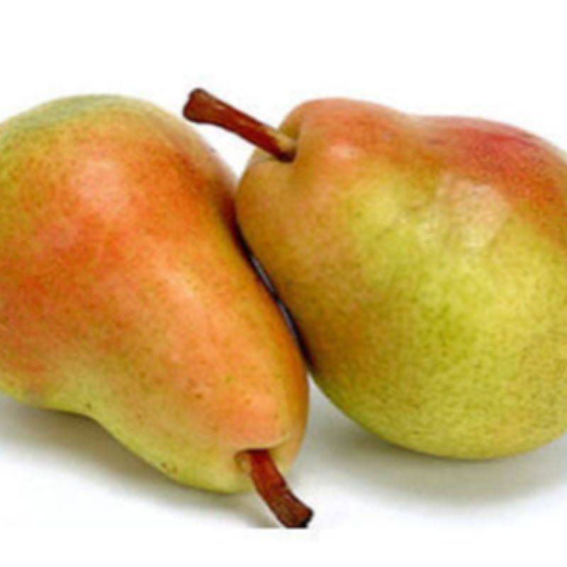 Pêra moretini / Pear
