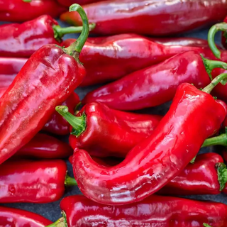 Pimento Padrão vermelho / red bell pepper