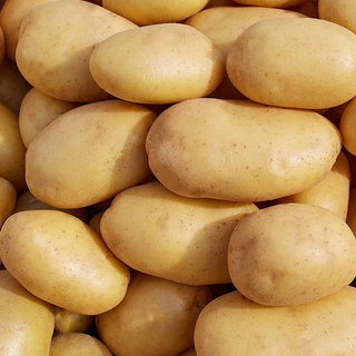 Batata nova / new potato