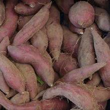 Batata doce / sweet potato