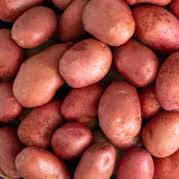 Batata vermelha / Red potato