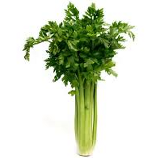 Aipo / Celery