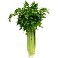 Aipo / Celery