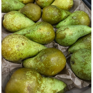 Pêra Conference / Pear