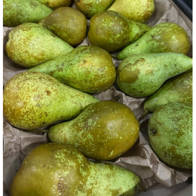 Pêra Conference / Pear