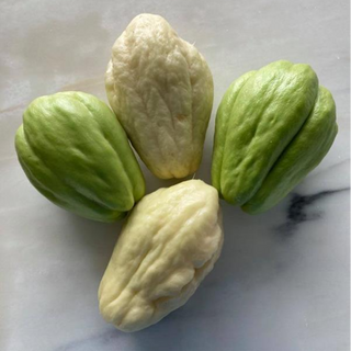 Chuchu / Chayote