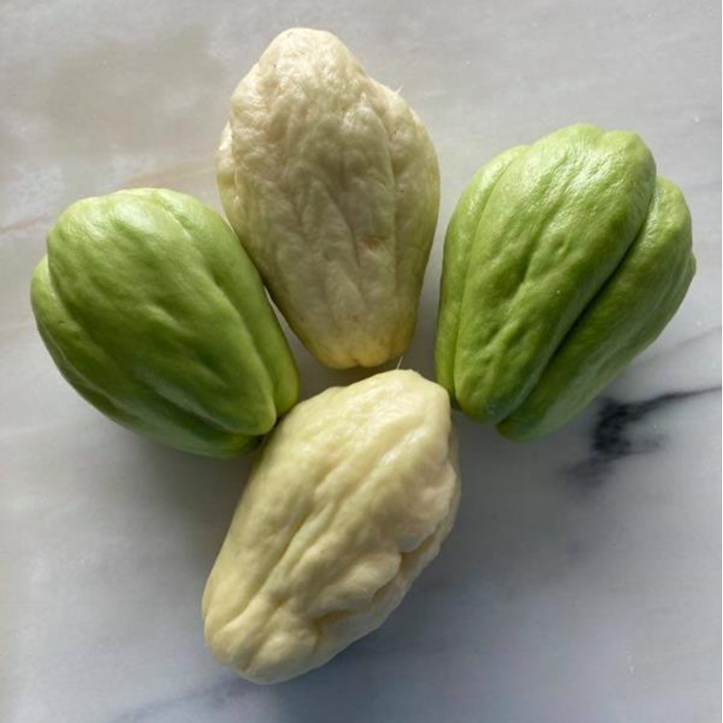 Chuchu / Chayote
