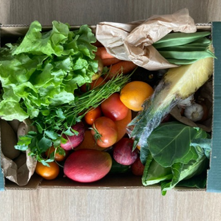 Cabaz regresso à escola / Back to school basket 