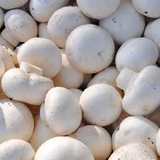 Cogumelos Paris / Paris mushrooms 