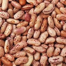 Feijão Catarino / Beans