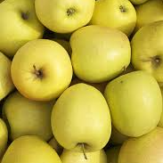Maçã Golden / apple