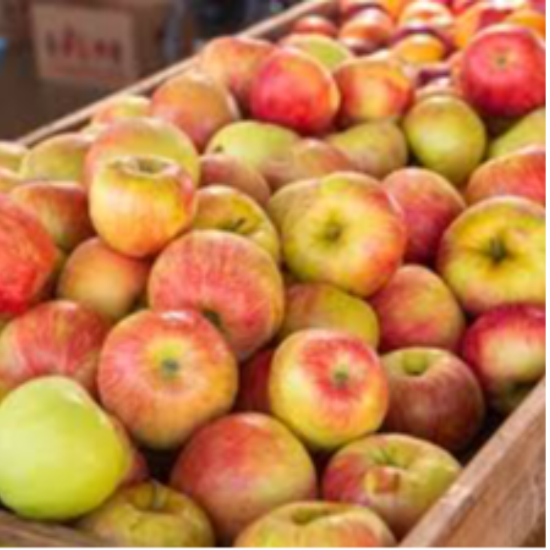 Maçã para assar / apple for baking