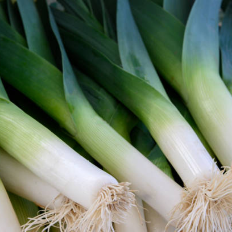 Alho Francês / French Garlic