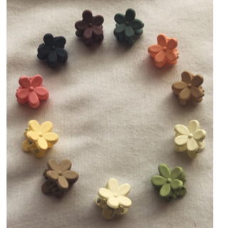 mini flower hair clips 5pcs