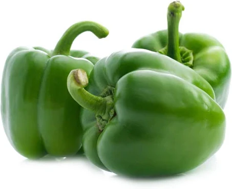 Capsicum