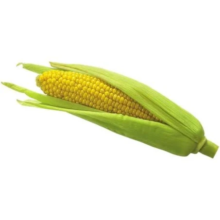 Corn