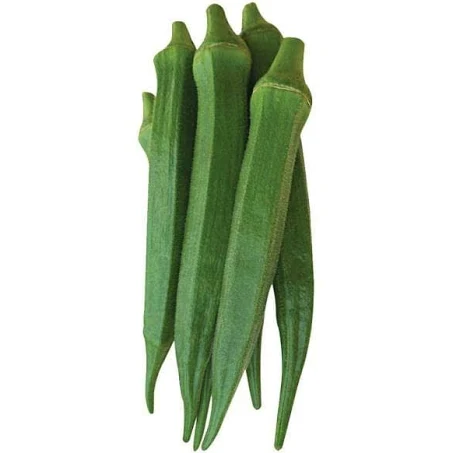 Okra