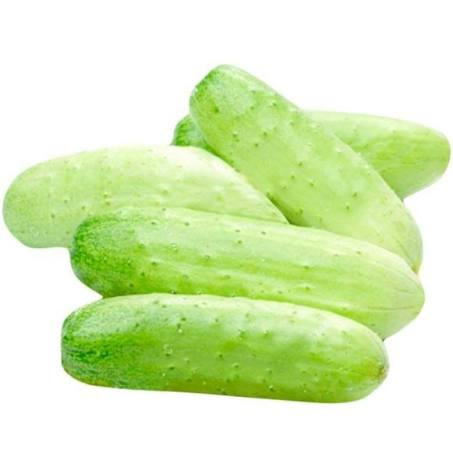 Cucumber