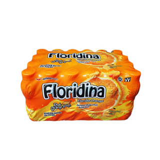 Floridina Orange 350 ml (Karton)