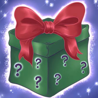 Mystery Christmas Gift