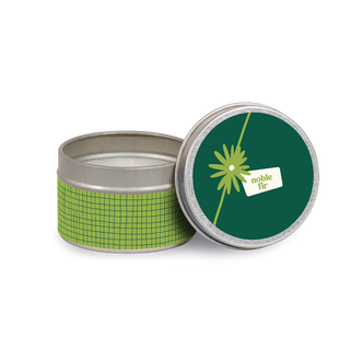 TT2-WOL-NOB | Case of 12