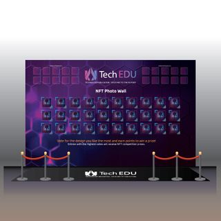Logo placement in Landing page, NFT voting wall, NFT competition instruction