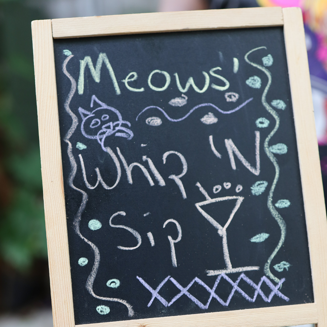 Meows' Whip 'N Sip Workshop May 2025