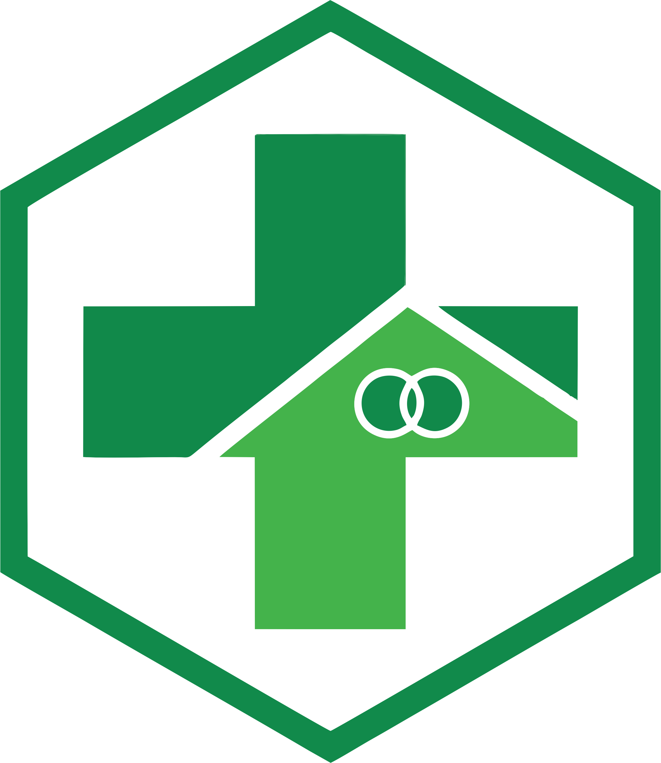 LAPORAN KUNJUNGAN SEHAT BPJS PPD - Banner