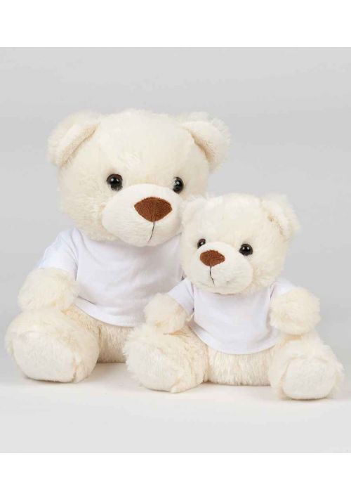 LSERC TEDDY Main Image