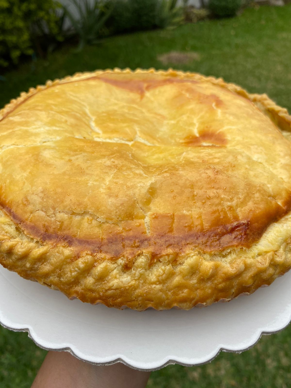 Pastel de Acelga y Espinaca