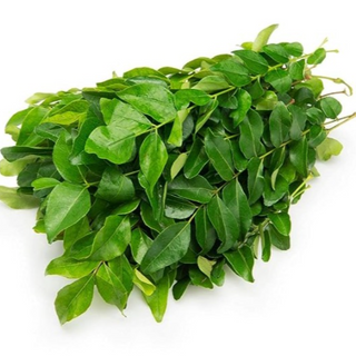 Curry Leaves bunch