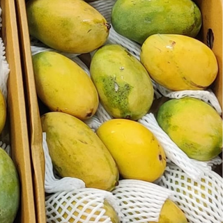 SHIVI - Dasheri Mangoes 3+Kg