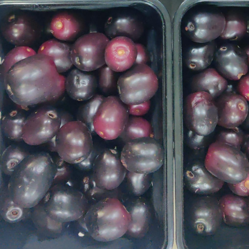 Jamun Fruit/Neredu pandu 