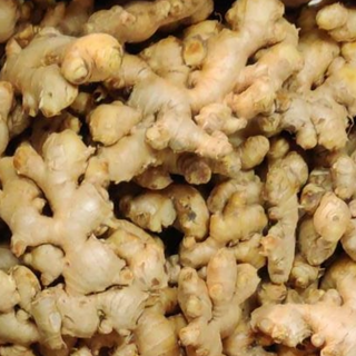 Indian Ginger