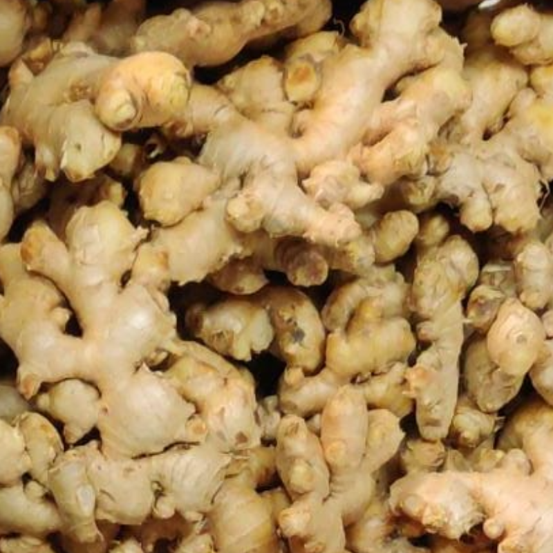 Indian Ginger Main Image