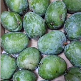 Pickle Mangoes