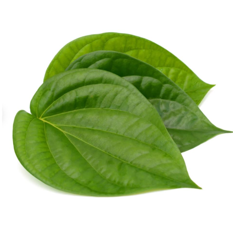 Paan Leaves Main Image