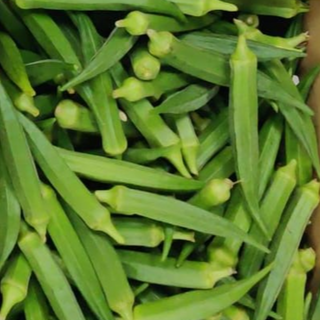 Okra/Bendakaya/Venda kaya