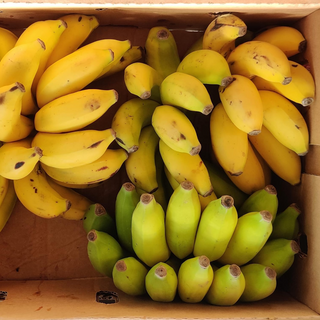 Apple Banana