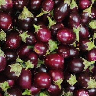 Brinjal/Round Vankaaya/Kathirikai