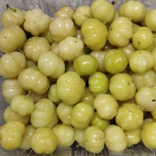 Star gooseberry/seema usirikaya
