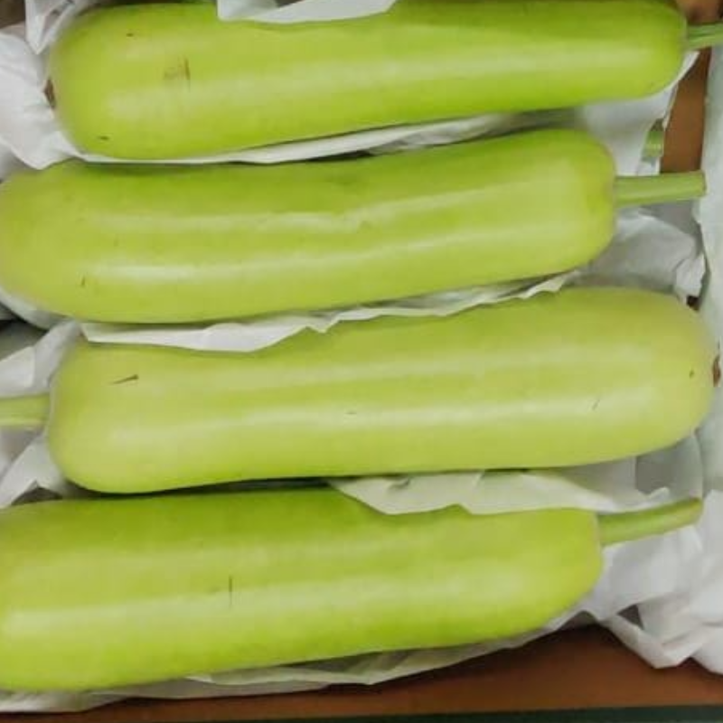 Bottle Gourd/Dudhi/Sorakaya/Suraikai Main Image