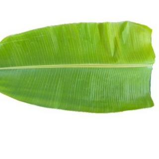 Banana Leaves