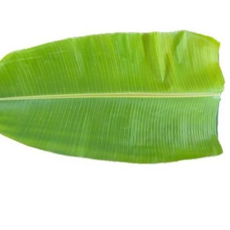 Banana Leaves