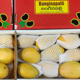 SHIVI-Banginapalli 3+Kg 