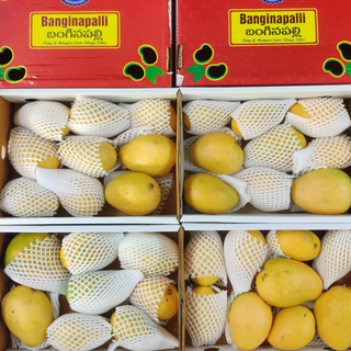 SHIVI-Banginapalli 3+Kg 