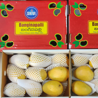 SHIVI-Banginapalli 3+Kg 